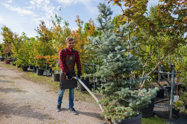 Best Tree and Shrub Care  in Kennett Square, PA